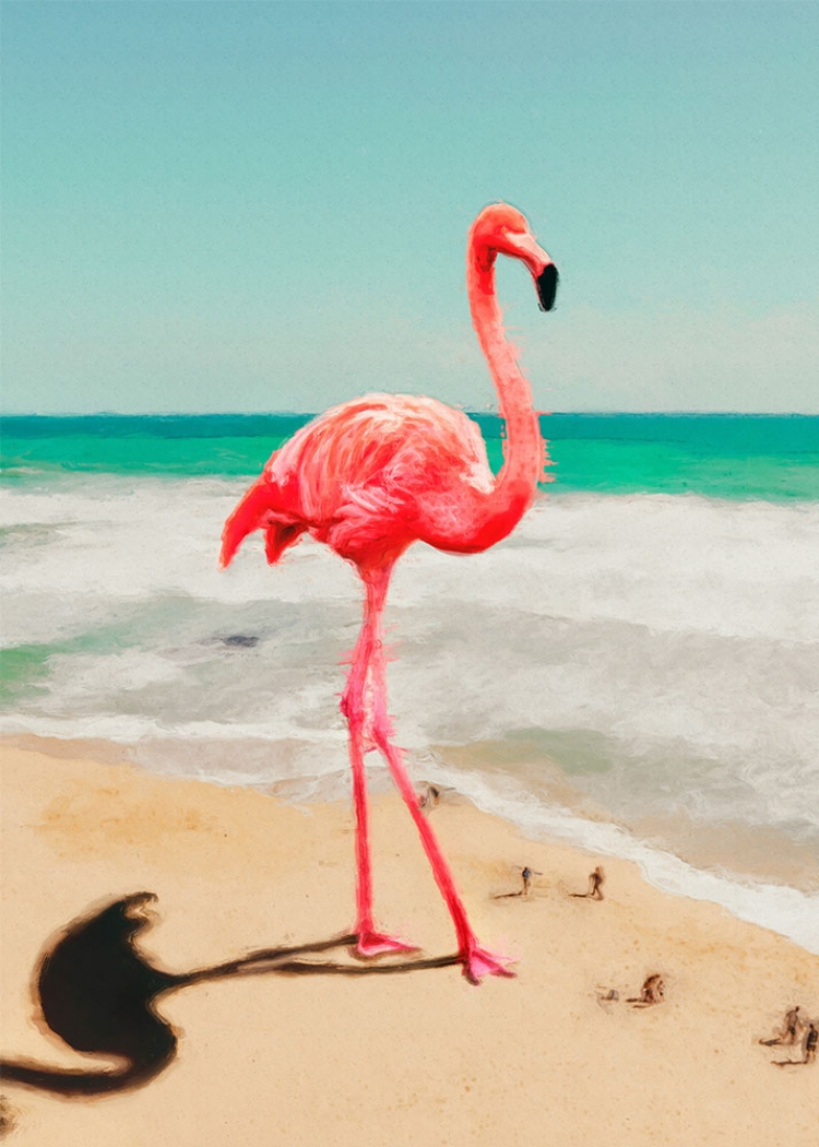 Flamingo II