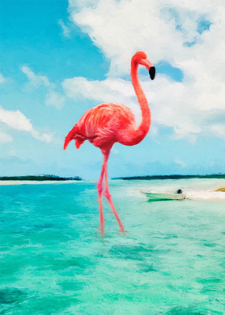 Flamingo I