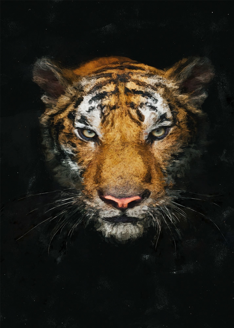 Tigris